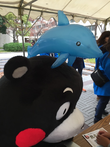 和歌山大学　 (40).JPG